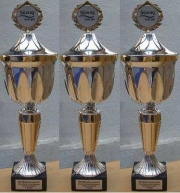 Pokal: SÜWAG 2006 Bad Ems 1. Sieger